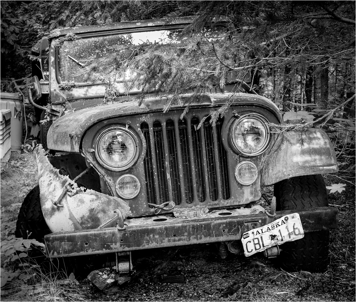2nd PrizeAssigned Pictorial In Class 3 By John Hoyt For Alaskan Jeep MAR-2023.jpg